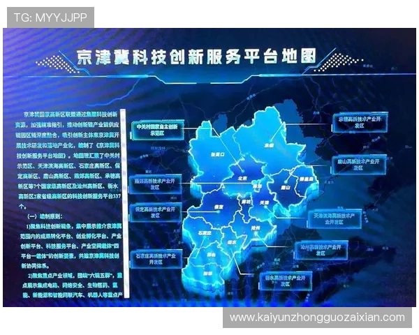 揭秘开云app平台入口背后的技术与服务创新