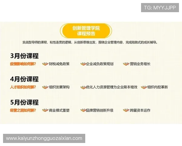 法国开云集团旗下品牌的产品线覆盖范围及其在不同市场的战略布局